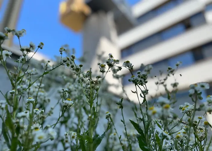 Post 120 4* プラハ